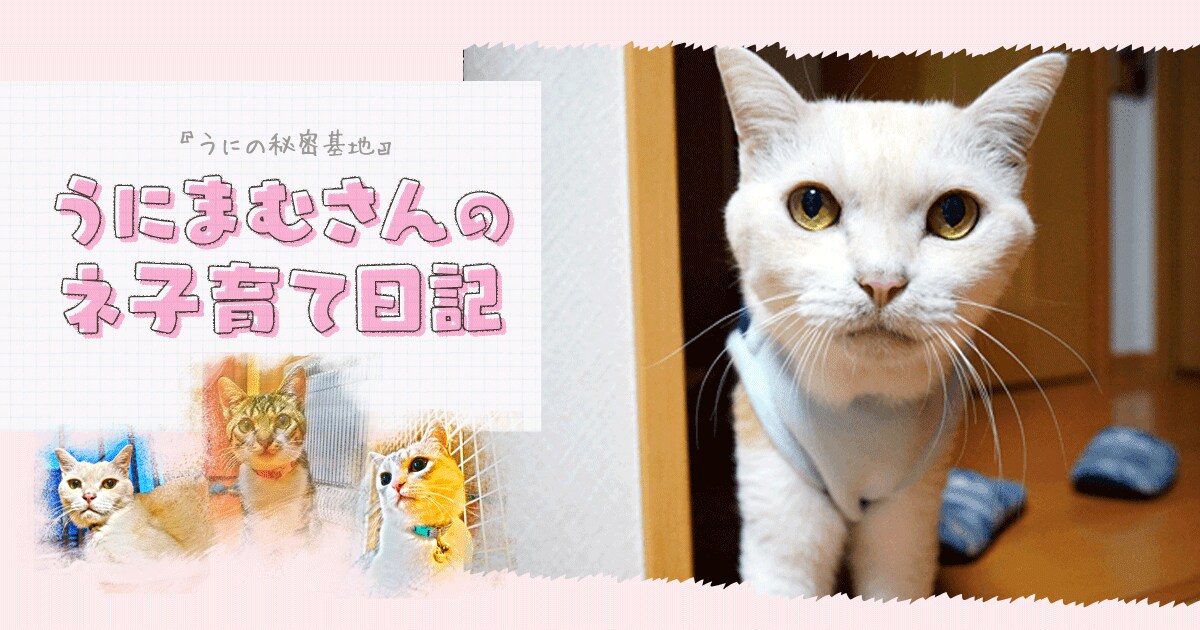 Original.png?jp.co