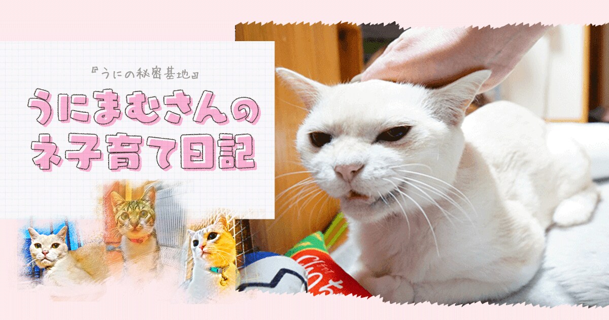 Original.png?jp.co