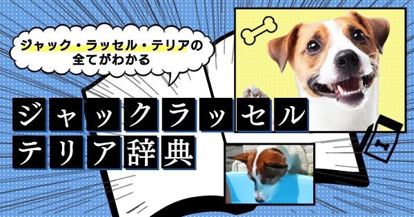 Original.png?jp.co