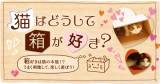 Original.png?jp.co
