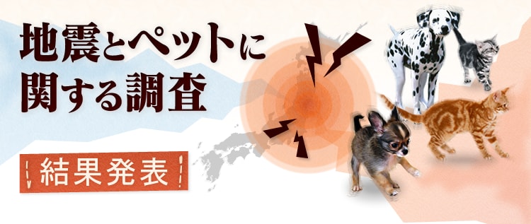 Original.png?jp.co