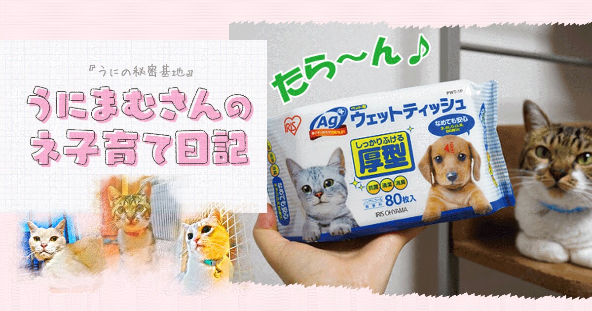Original.png?jp.co