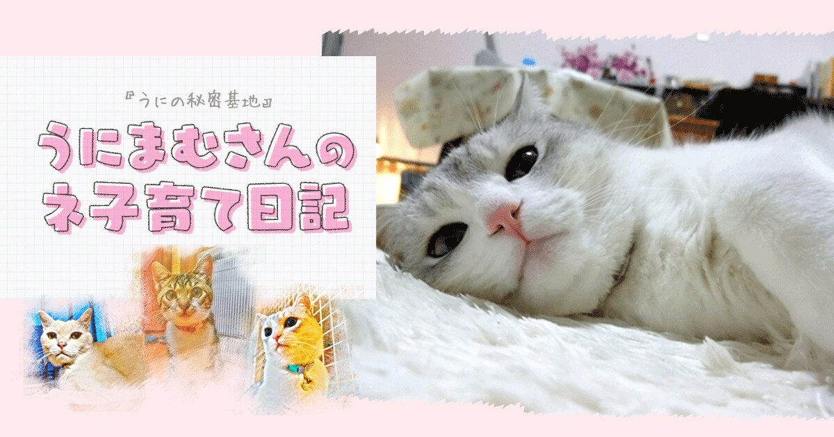 Original.png?jp.co