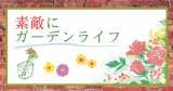Original.png?jp.co