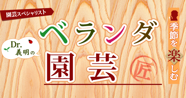 Original.png?jp.co