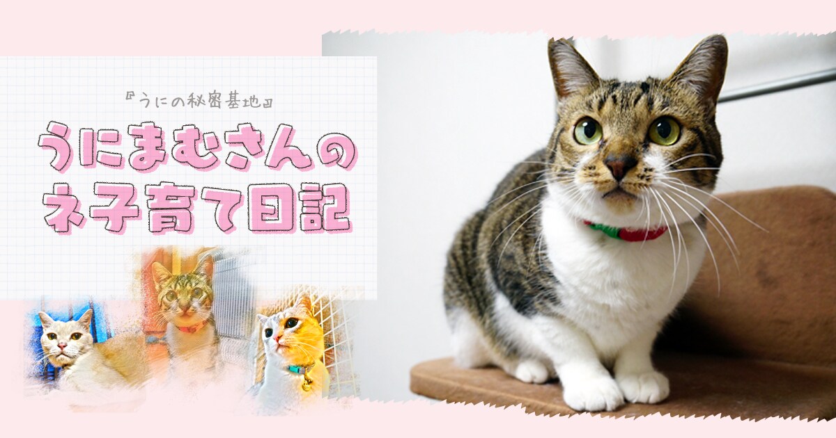 Original.png?jp.co