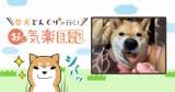 Original.png?jp.co