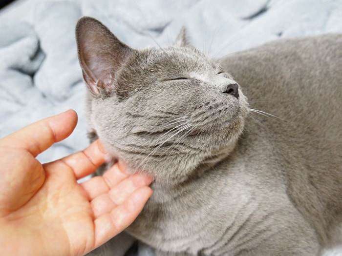 �L�����Ĉꏏ�ɂ������I