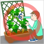 �g�߂ɒu���ĊǗ��ł���̂ŁA��؂̐����𖈓��y�����m�F�ł��܂��B