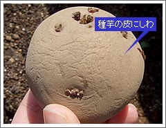 �摜