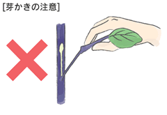 �摜