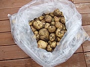 �W���K�C��
