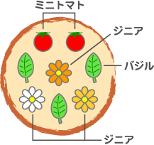 木原先生の「おいしい寄せ植え講座」