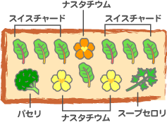 木原先生の「おいしい寄せ植え講座」
