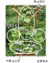 木原先生の「おいしい寄せ植え講座」