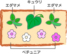 木原先生の「おいしい寄せ植え講座」
