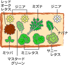 木原先生の「おいしい寄せ植え講座」