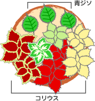 木原先生の「おいしい寄せ植え講座」