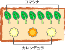 木原先生の「おいしい寄せ植え講座」