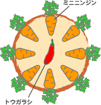 木原先生の「おいしい寄せ植え講座」