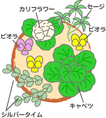 木原先生の「おいしい寄せ植え講座」