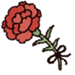 �J�[�l�[�V����