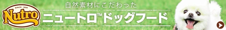 ���p