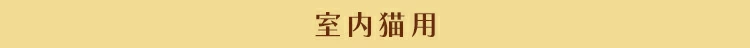 �����L�p