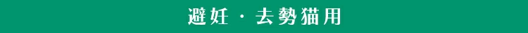 ��D�E�����L�p