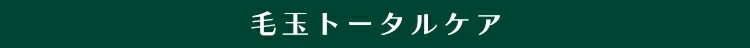 �ыʃg�[�^���P�A