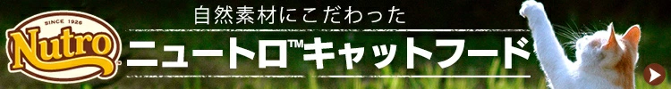 �L�p