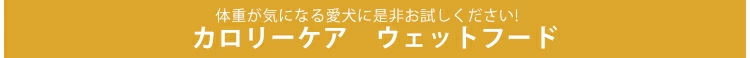 �E�G�b�g�t�[�h