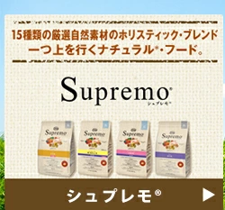 supremo
