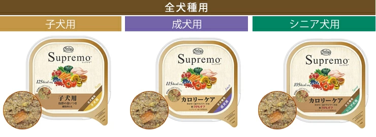 �S����p