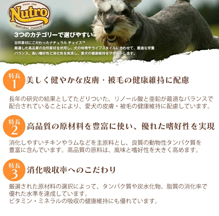 �j���[�g��
