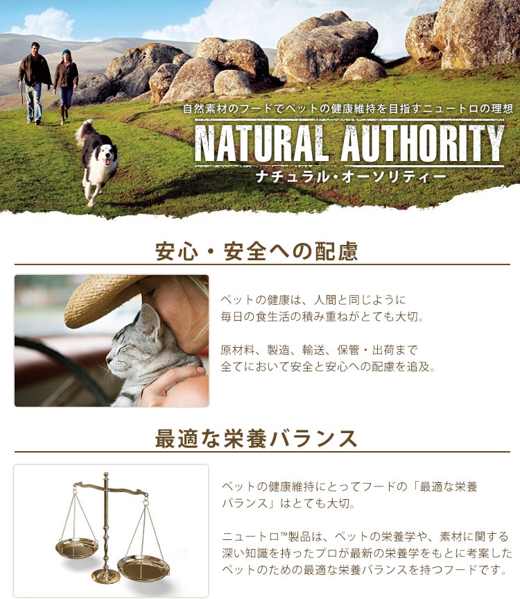 �i�`�������I�[�\���e�B