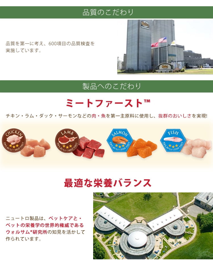 �i�`�������I�[�\���e�B