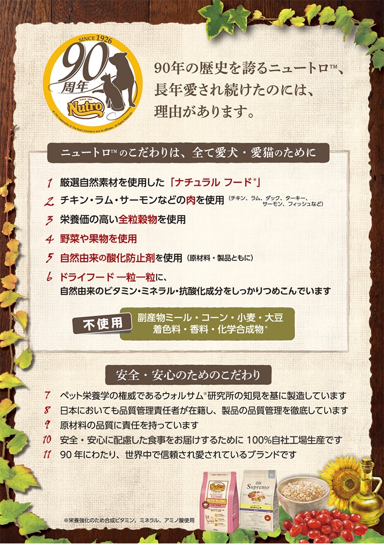 �i�`�������I�[�\���e�B