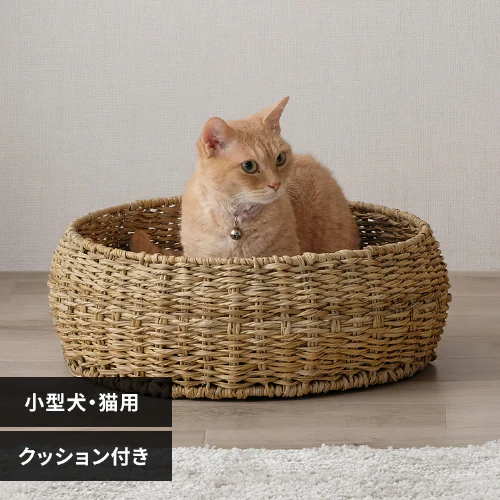 �ǉ����i�T���l�C��