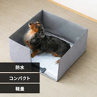 ybggCT[N PTC-N4824 O[ ybggC  L