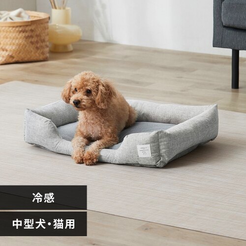 �y�b�g�x�b�h �⊴ �N�[�� �N�[���y�b�g�x�b�h �X�N�G�A�^�k�T�C�Y �O���[ PCB-24SL_0