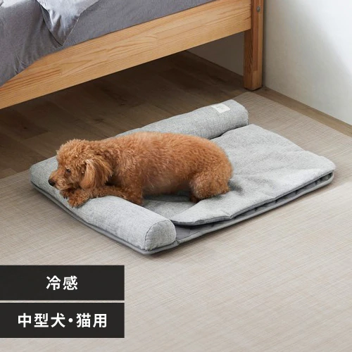 �ǉ����i�T���l�C��