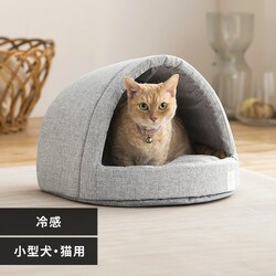 �y�b�g�x�b�h �⊴ �N�[�� �N�[���y�b�g�x�b�h �h�[���^ �O���[ PCB-24D�y������s�z�y�O�����s�z