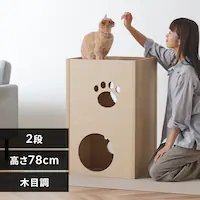 ygݗĊȒPzLbg^[ i{[ ˂˂^[ P-NT2