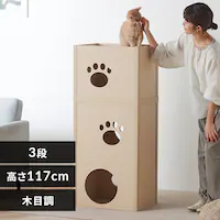 ygݗĊȒPzLbg^[ i{[ ˂˂^[ P-NT3