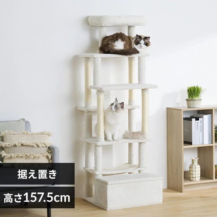 �ǉ����i�T���l�C��