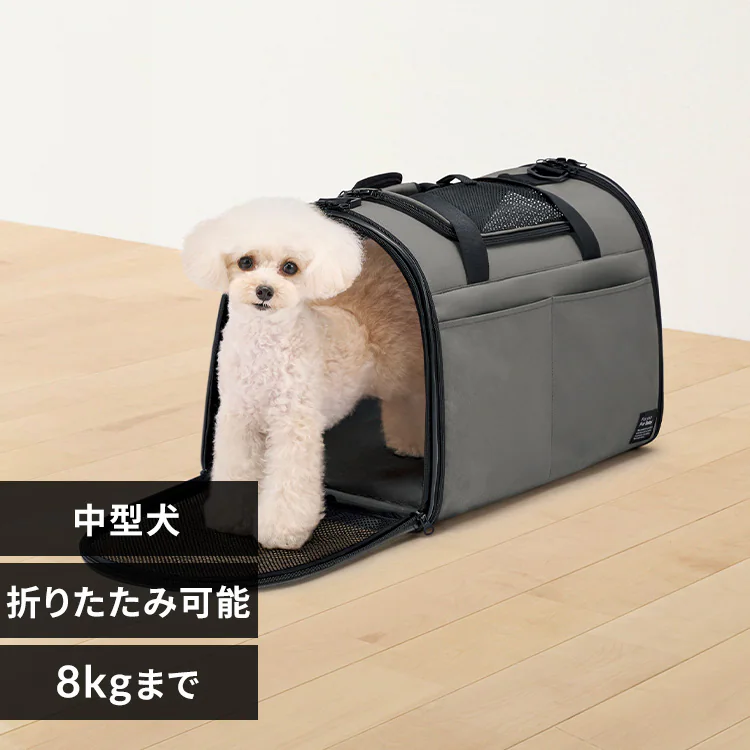 �ǉ����i�T���l�C��