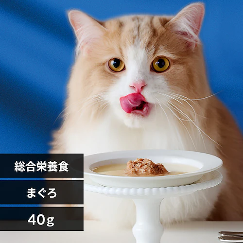 美食メニュー スープ まぐろ P-40SM×1P【メール便】_0