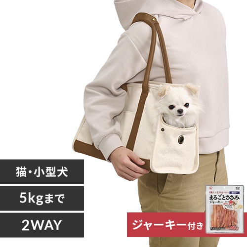 【IPA2】アイドル　犬　ボストンテリア　キャンバスF6号サイズ　BAEZ3 IPA2】アイドル 犬 ボストンテリア キャンバスF6号サイズ BAEZ3