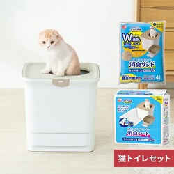 �V�X�e���g�C���~���L�V�[�g�~���L�T���h